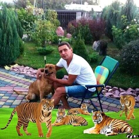 ���� 18589244 ������� �������, 40 ���, ���� ���������� � ������