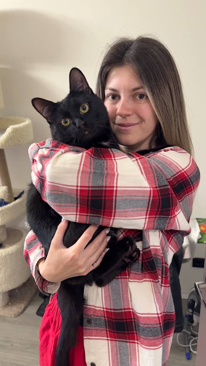 ���� 53574404 ������� ����, 29 ���, ���� ���������� � ����������