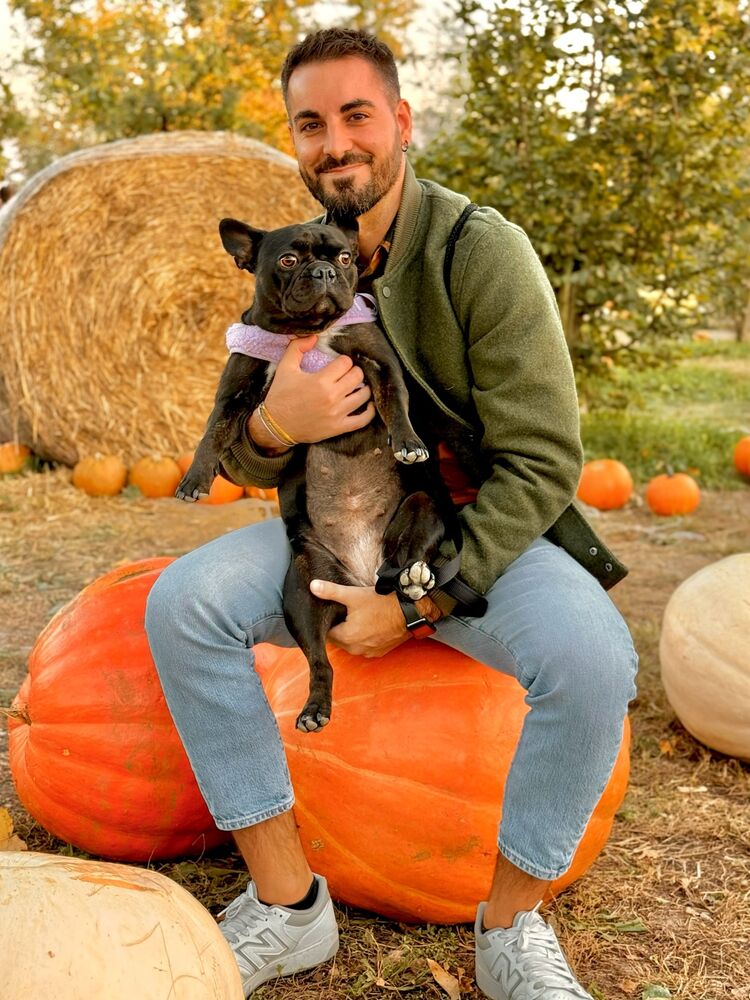 ���� 56172094 ������� �������, 32 ����, ���� ���������� � �����