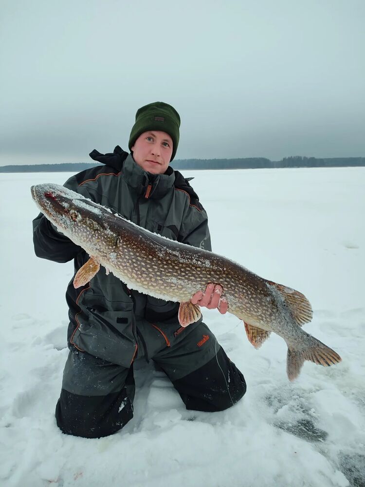 ���� 34843934 ������� �������, 28 ���, ���� ���������� � �����-����������