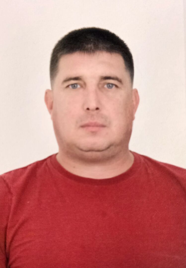  28480194  , 39 ,    -