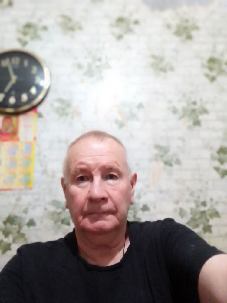 31339314  , 67 ,    -