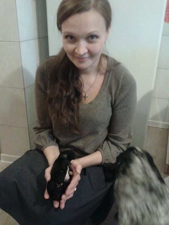 ���� 56221914 ������� �����, 53 ����, ���� ���������� � ������