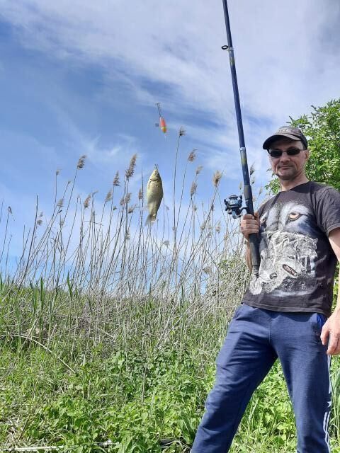 ���� 23138544 ������� ���������, 40 ���, ���� ���������� � �������