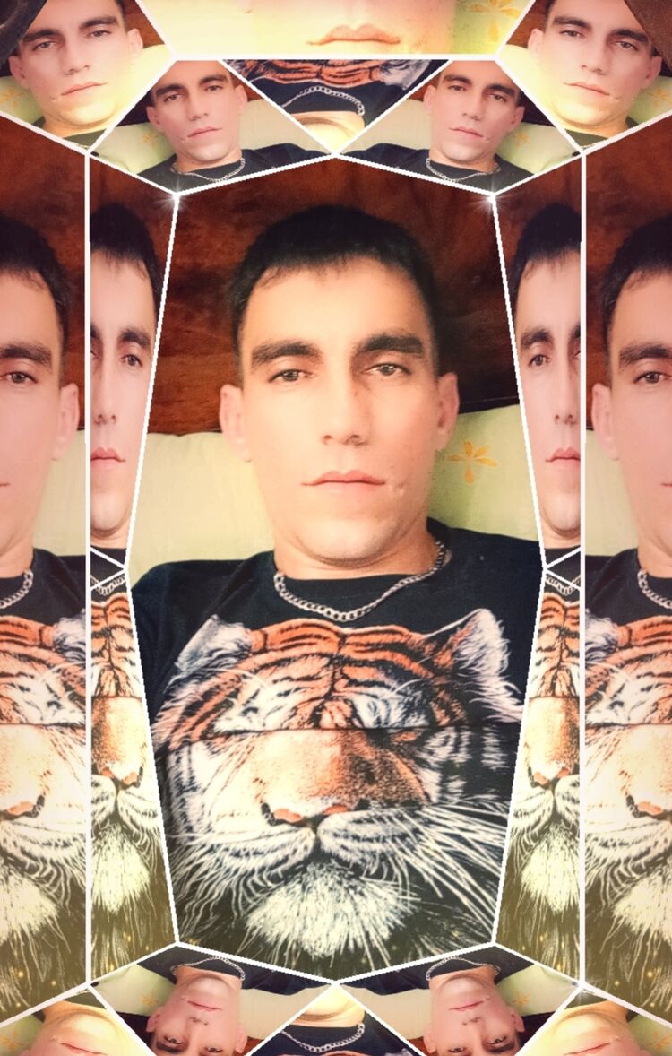 ���������� ����������, ���� ������� �������, 36 ���, ������������ ��� ������, ����� � ���������, c�������� ���������, ���������