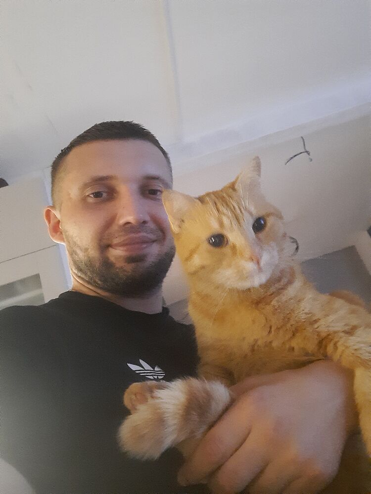 ���� 46653754 ������� �������, 32 ����, ���� ���������� � ������ ���������