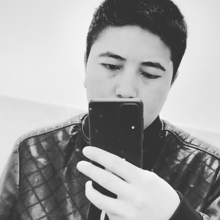  26290894  , 23 ,    