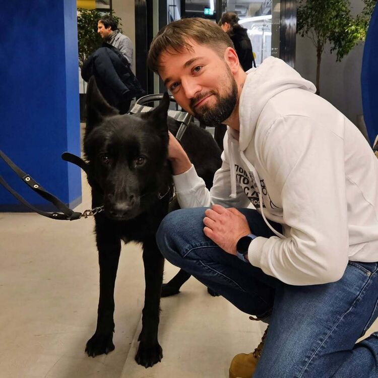 ���� 55168544 ������� �������, 33 ����, ���� ���������� � �����������