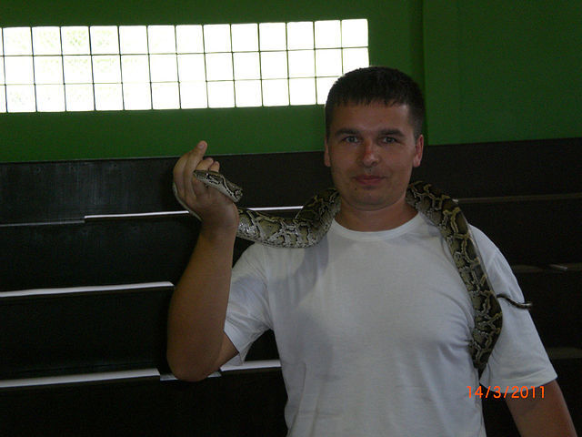 ���������� ������, ���� ������� �������, 43 ����, ������������ ��� ������, ����� � ���������, c�������� ���������