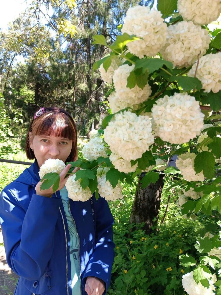 ���� 41149664 ������� ���������, 34 ����, ���� ���������� � ����������