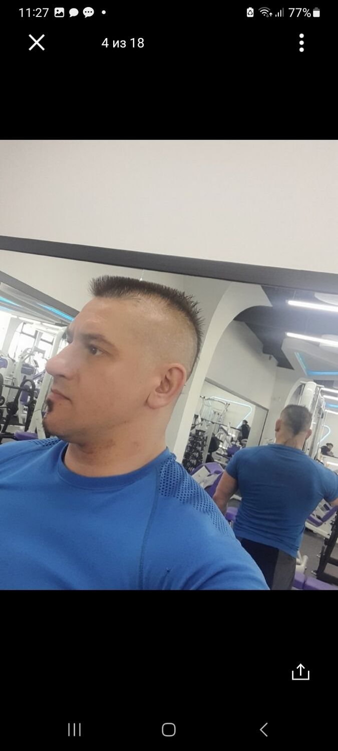  53137204  , 43 ,    