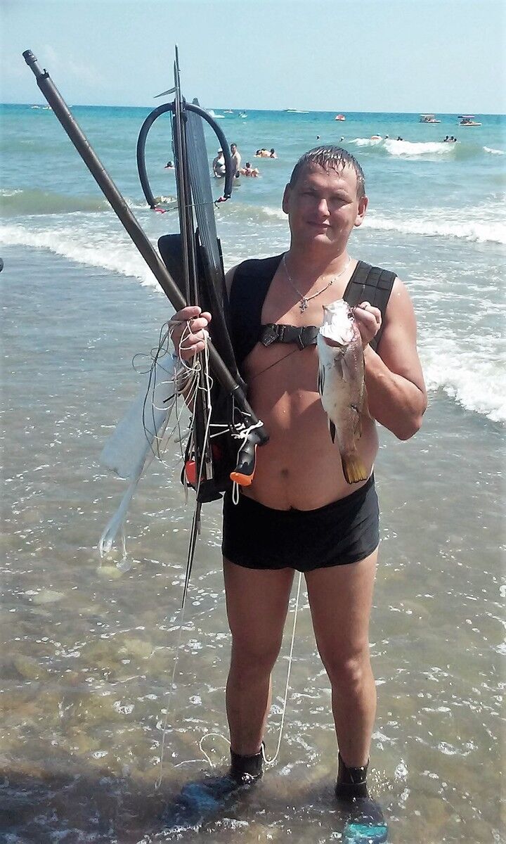 ���� 8279914 ������� ������, 50 ���, ���� ���������� � ��������