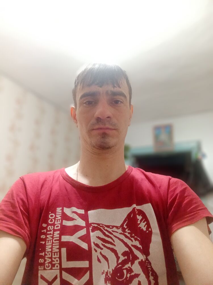  41160194  , 33 ,    