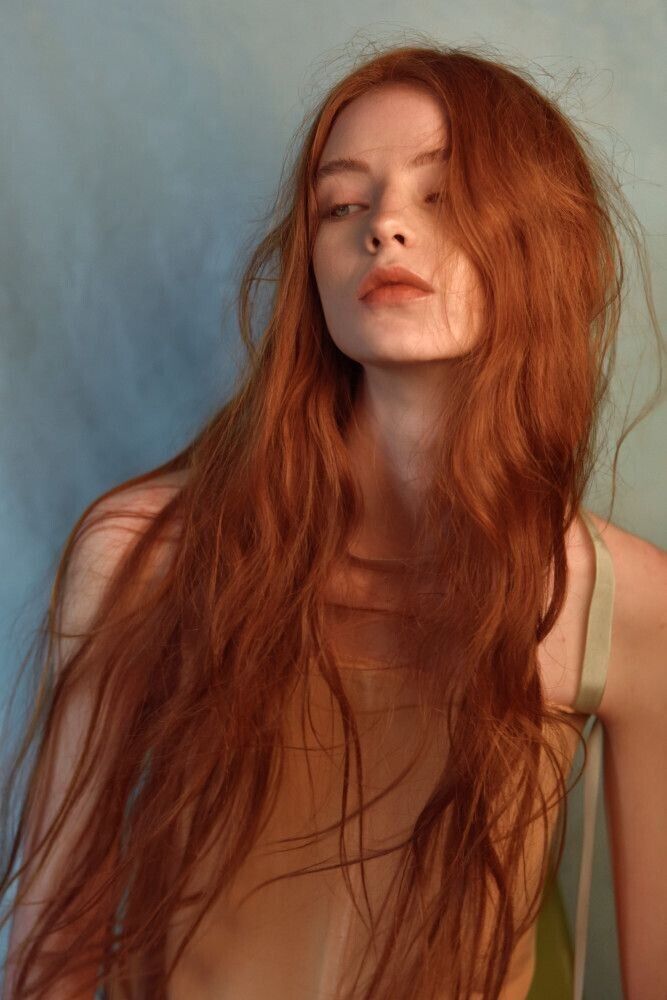  -,   , 24 ,   