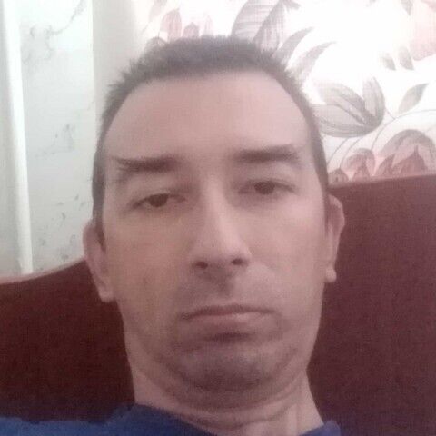 ���� 33381184 ������� ������, 46 ���, ���� ���������� � ����������