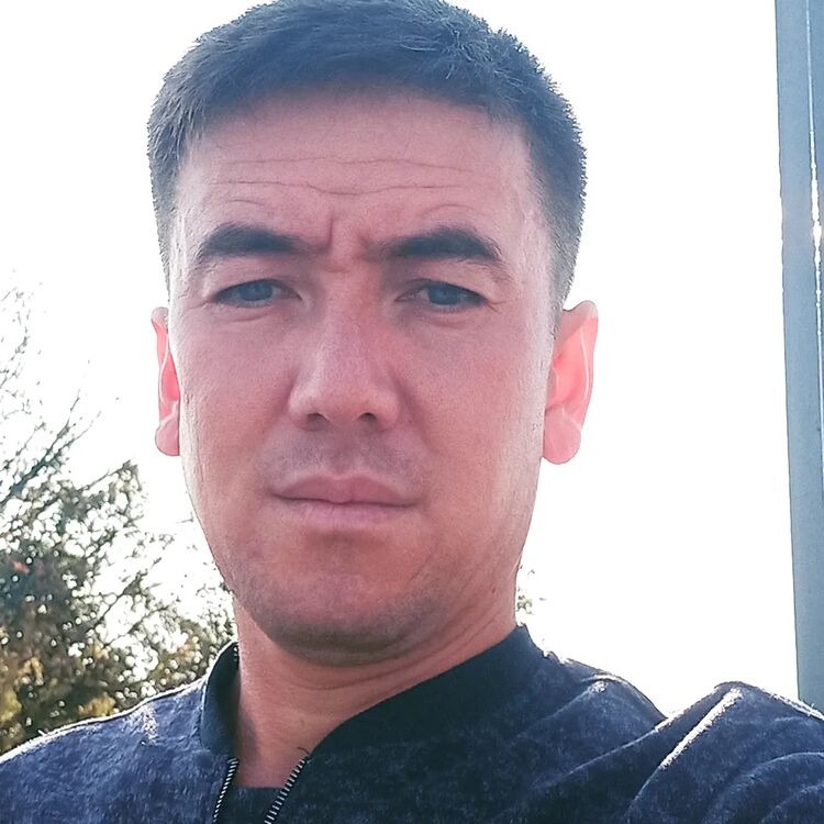 ���� 24811774 ������� �����, 36 ���, ���� ���������� � ����