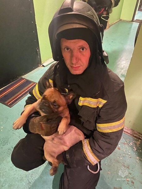 ���������� �����-���������, ���� ������� ���������, 33 ����, ������������ ��� ������, ����� � ���������, c�������� ���������, ���������