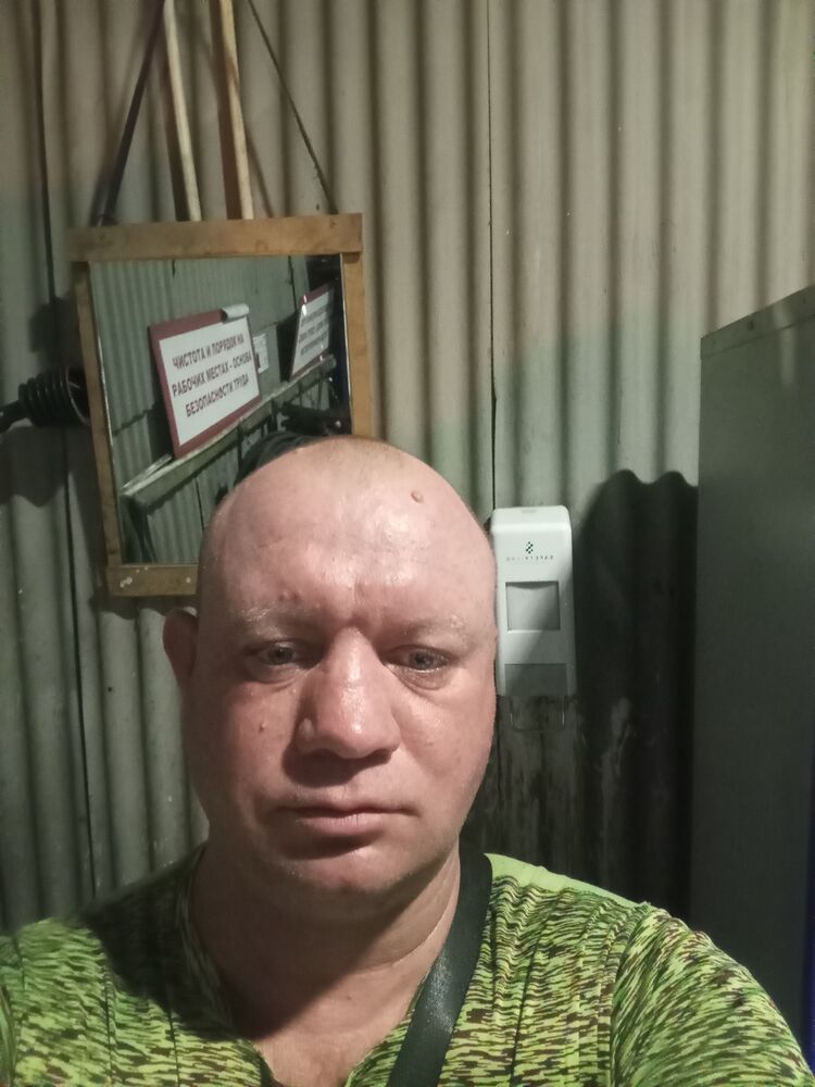  53096914  , 42 ,    