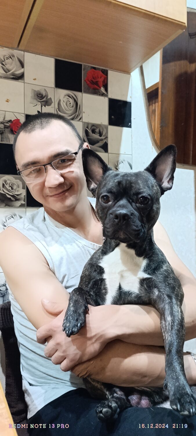 ���������� ������, ���� ������� �����, 41 ���, ������������ ��� ������, ����� � ���������, c�������� ���������, ���������