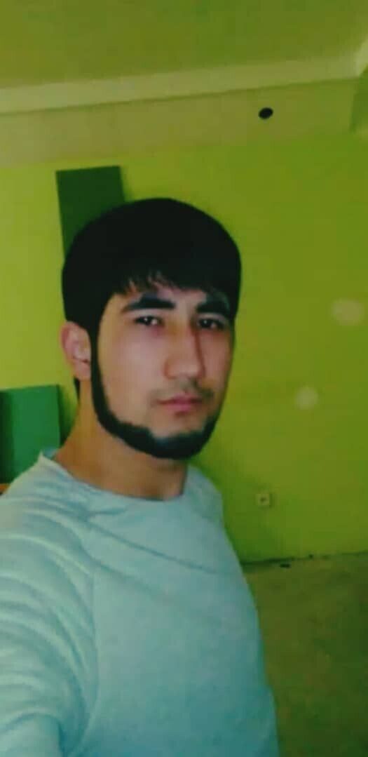  53146684  , 31 ,    --