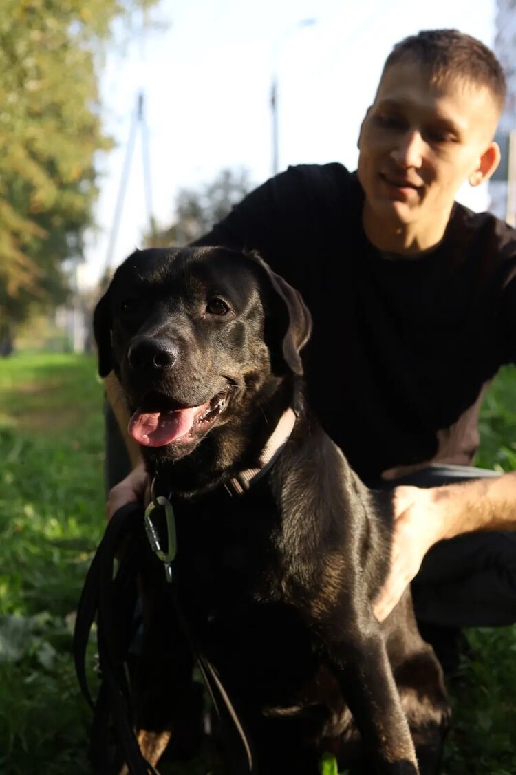  Lambeth,   , 31 ,   ,   