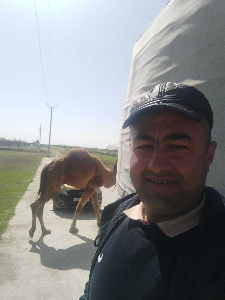 ,   Odil, 38 ,   ,   