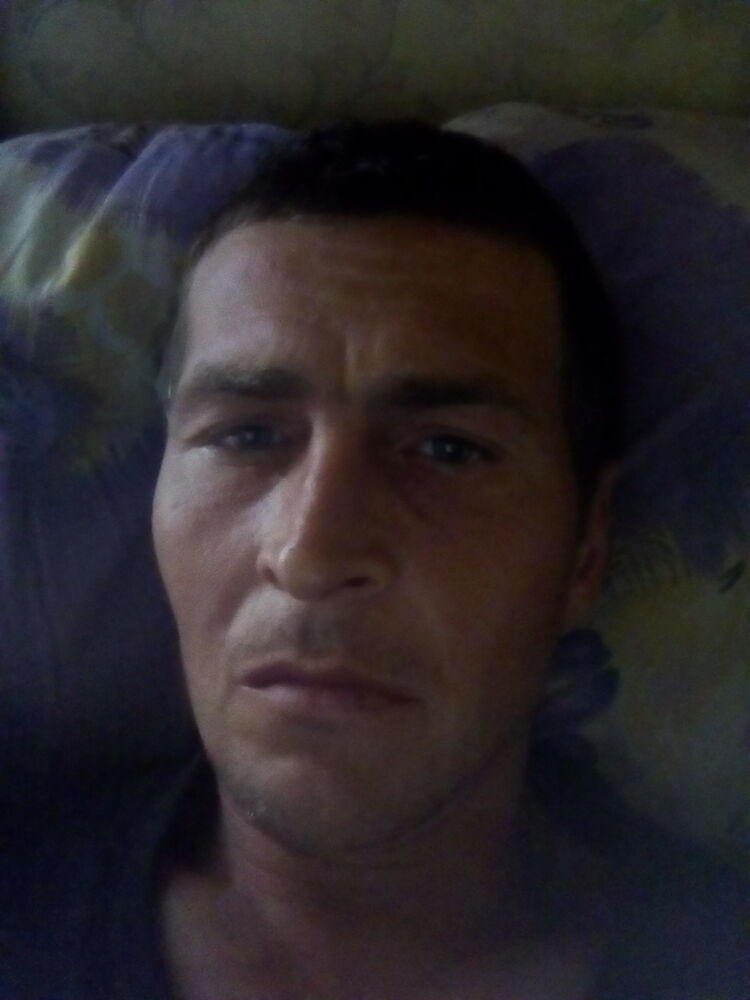  13498004  , 46 ,    