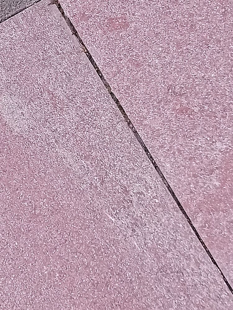 ���������� ����, ���� ������� �����, 43 ����, ������������ ��� ������, ����� � ���������