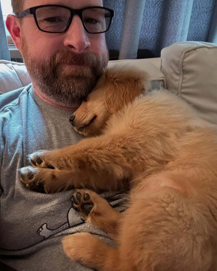 ���� 51736094 ������� ������, 42 ����, ���� ���������� � ��������������