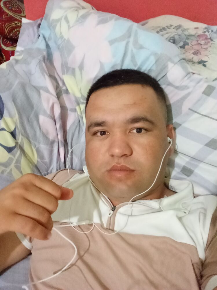  43302004  Gisidin, 28 ,    