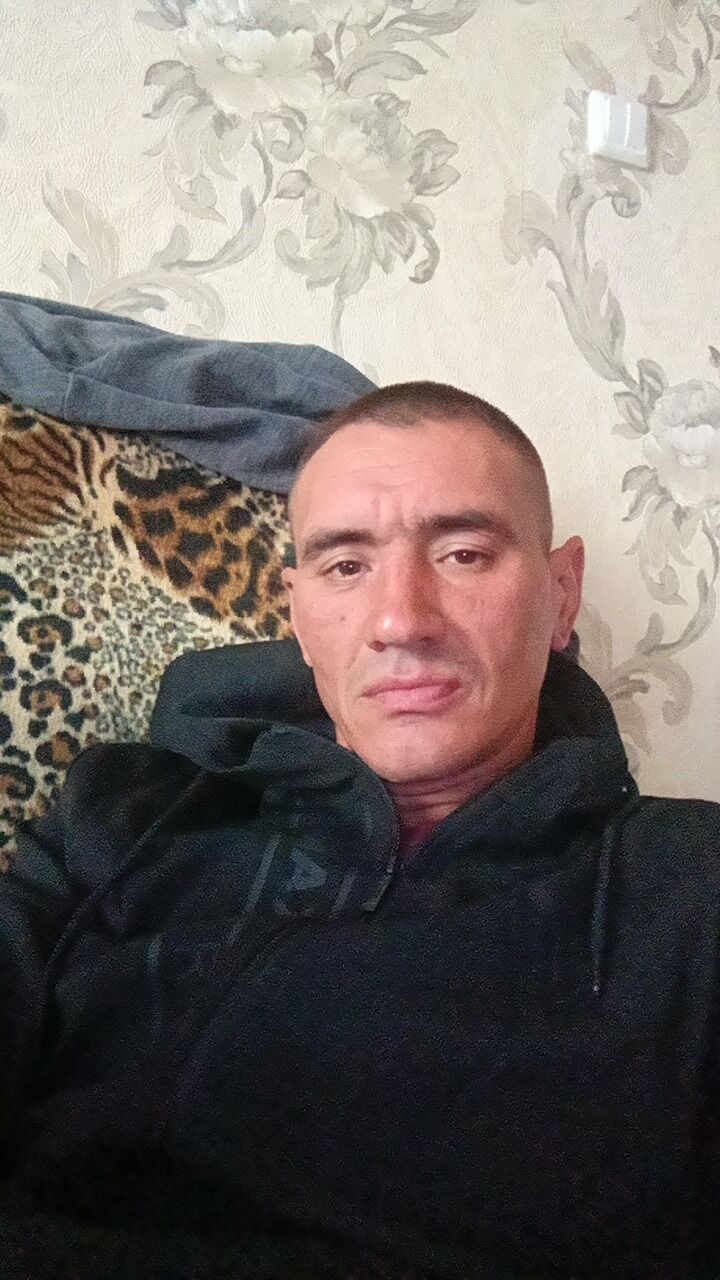  47511594  , 41 ,    