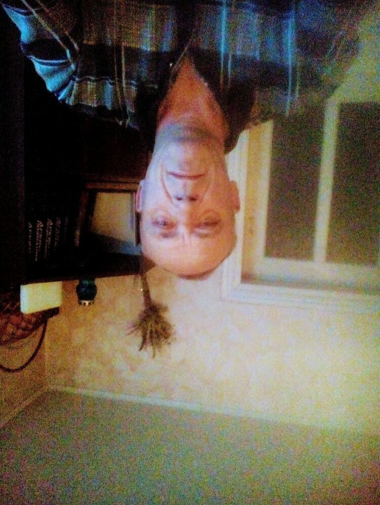 ���� 18585874 ������� ���������, 62 ����, ���� ���������� � �����