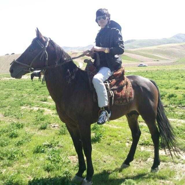 ���������� ������, ���� ������� Ali, 31 ���, ������������ ��� ������, ����� � ���������