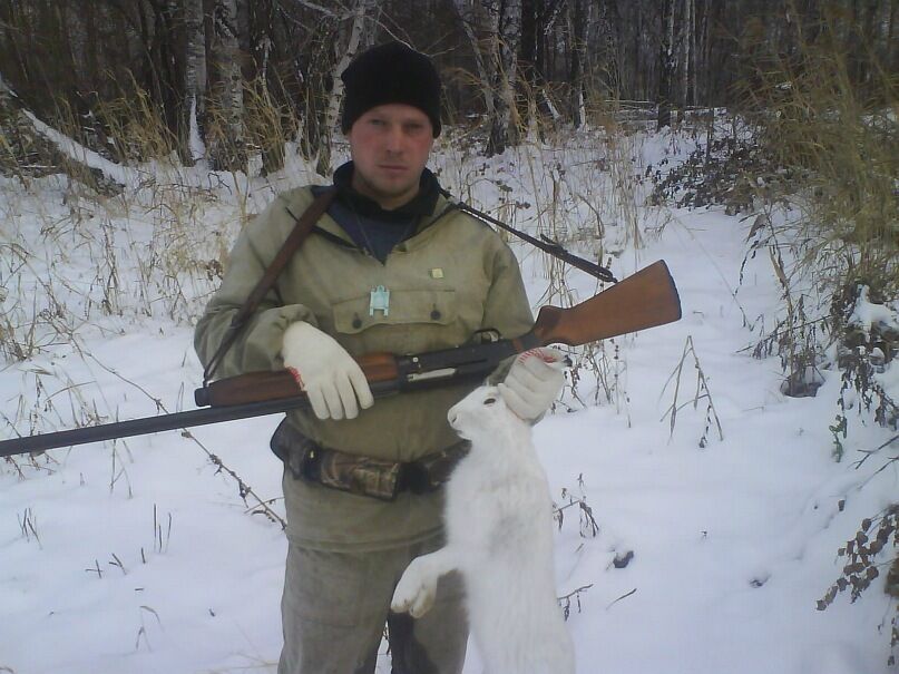 ���� 33402994 ������� ��������, 40 ���, ���� ���������� � ������������