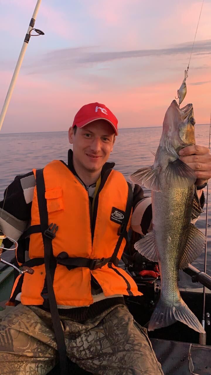  36077374  , 38 ,    -