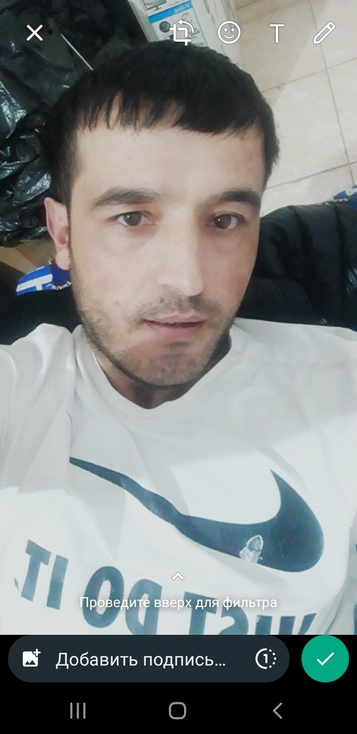 ���� 33649084 ������� ����, 26 ���, ���� ���������� � ������