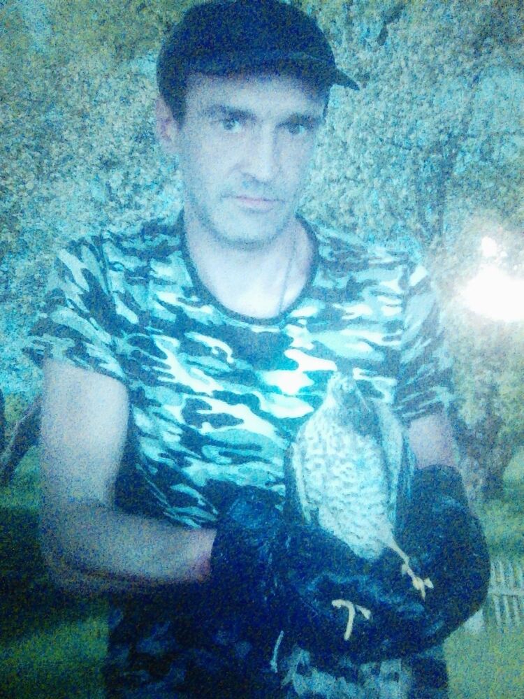  ,   , 49 ,   