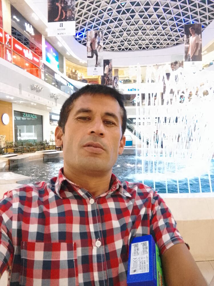 ���� 35135104 ������� ����, 43 ����, ���� ���������� � ����