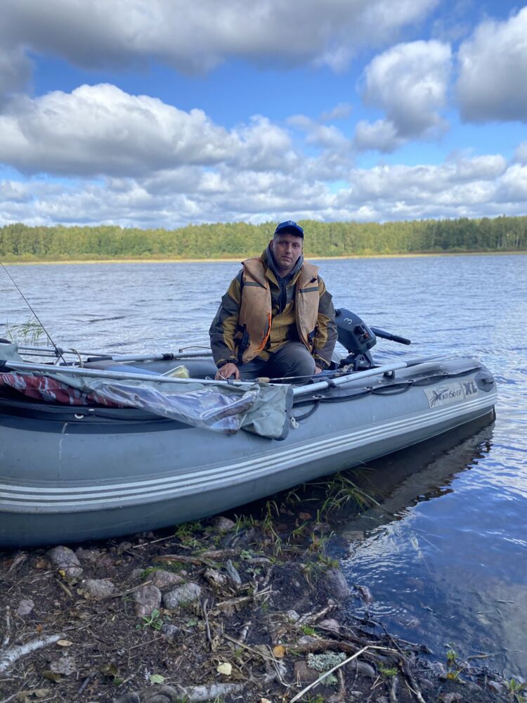  38641314  , 33 ,    -