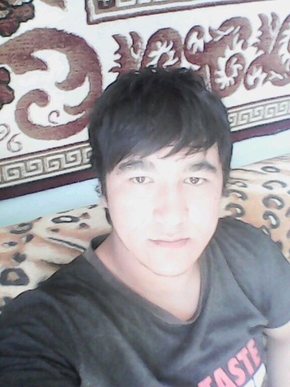  6601624  , 33 ,    -