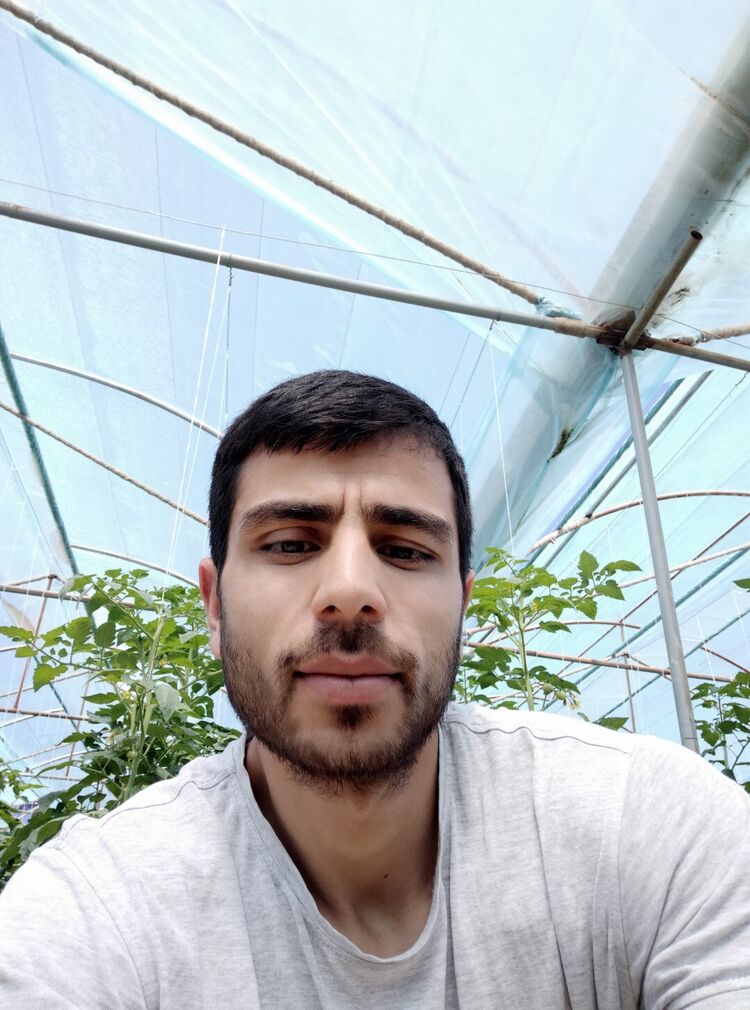 ���� 27648874 ������� ���, 33 ����, ���� ���������� � ����������