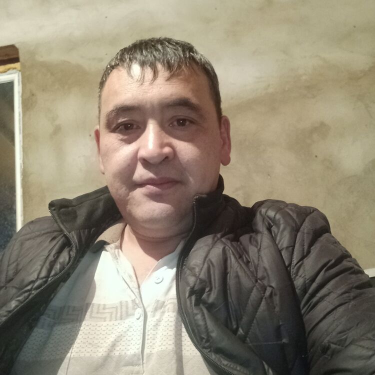 39515614  , 42 ,    