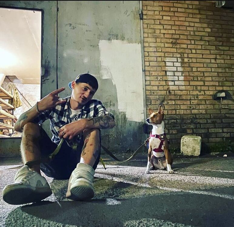 ���������� ����, ���� ������� ������, 38 ���, ������������ ��� ������, ����� � ���������