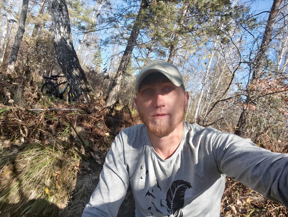 ���� 54785234 ������� ��������, 33 ����, ���� ���������� � �����������