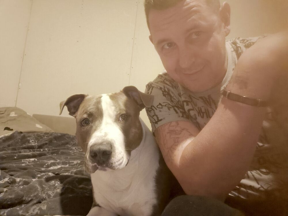 ���������� ������, ���� ������� ������, 44 ����, ������������ ��� ������, ����� � ���������, ���������