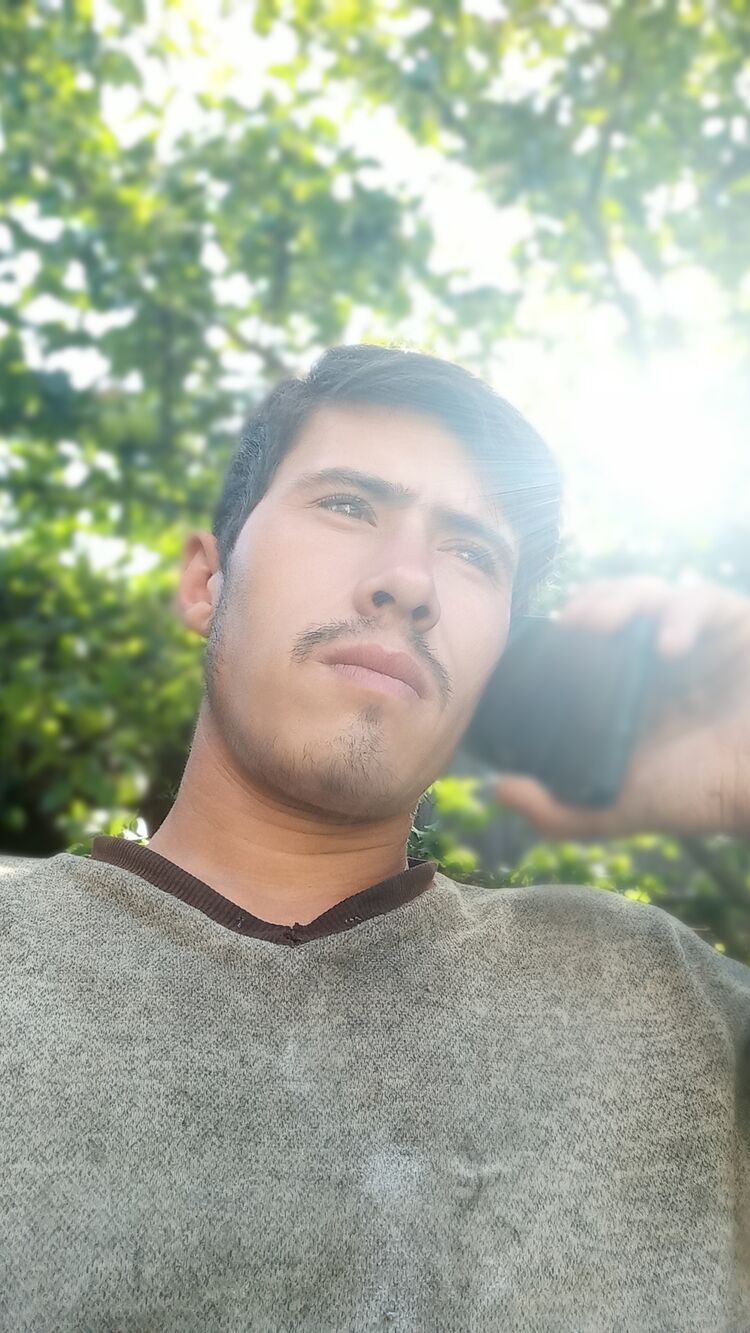 ���������� �����-���������, ���� ����� ROMMA, 24 ����, ������������ ��� ������, ����� � ���������, ���������