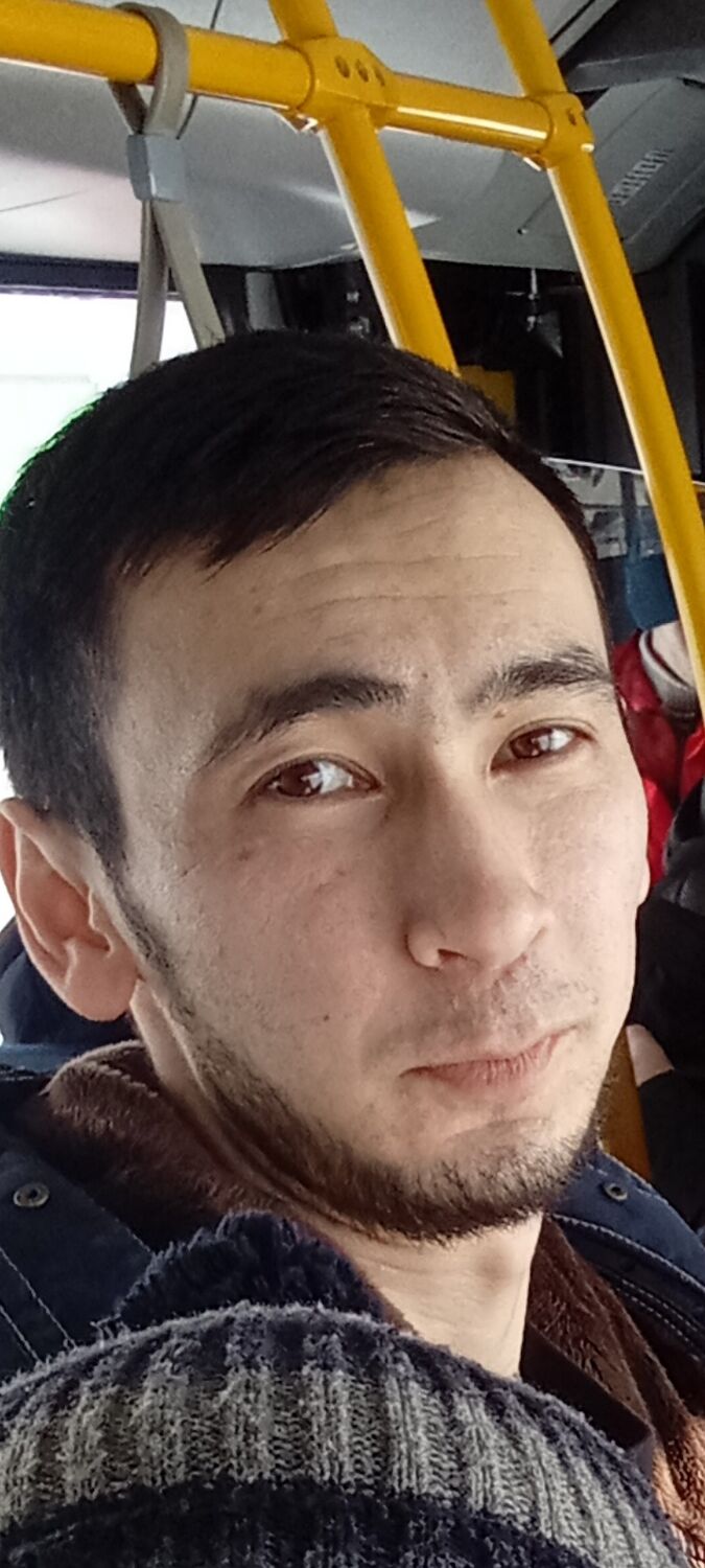  34081624  , 31 ,    