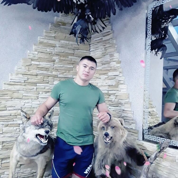 ���������� �����������, ���� ������� �����, 36 ���, ������������ ��� ������, ����� � ���������, c�������� ���������