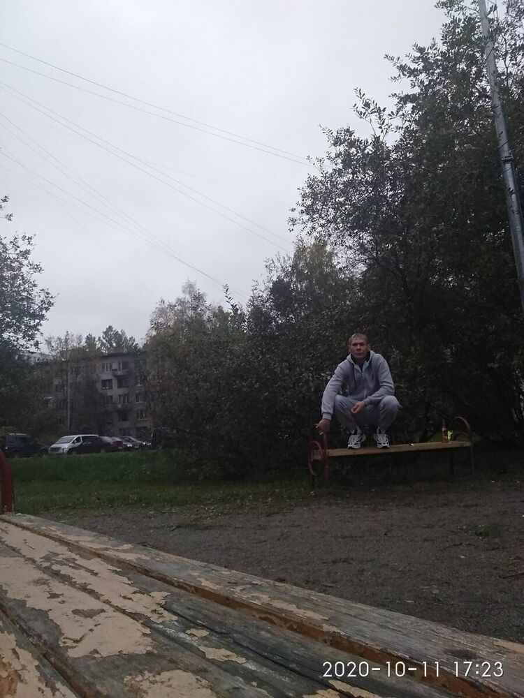  21378534  , 43 ,    -