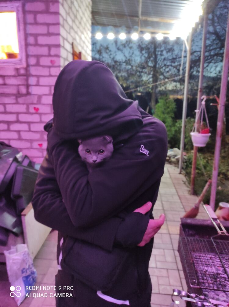 ���� 27968834 ������� �������, 30 ���, ���� ���������� � ��������